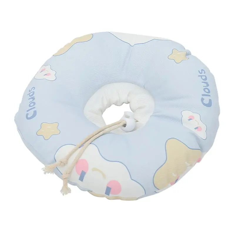 Elizabethan-Circle-825-1538-6