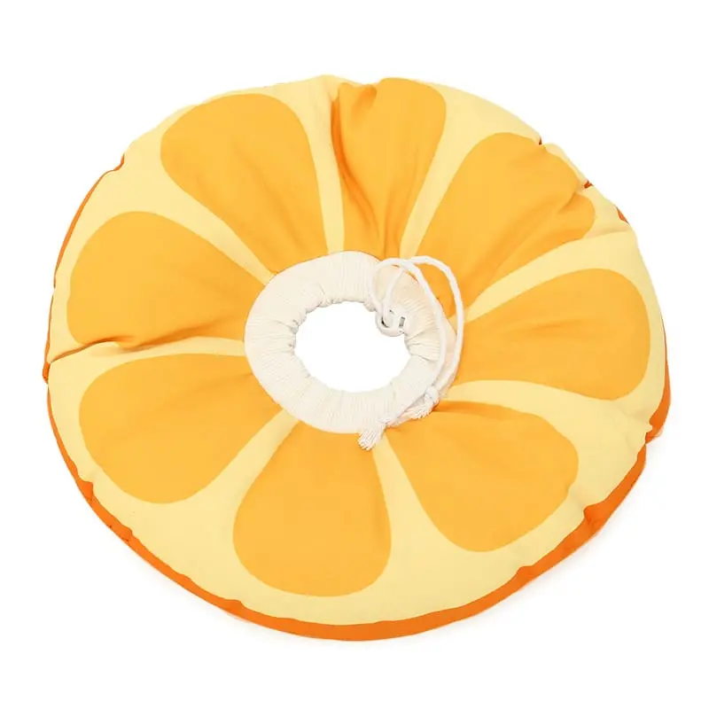 Elizabethan-Circle-825-1538-7