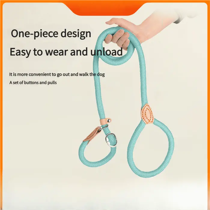 dog-leash-825-1500-1