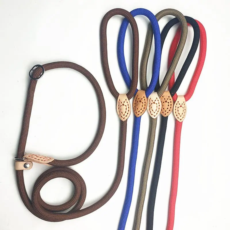 dog-leash-825-1500-3