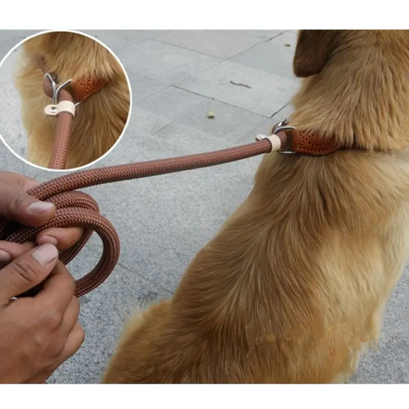 dog-leash-825-1500-4