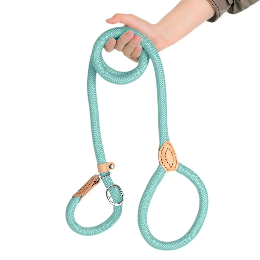 dog-leash-Light-Green-825-1500-1