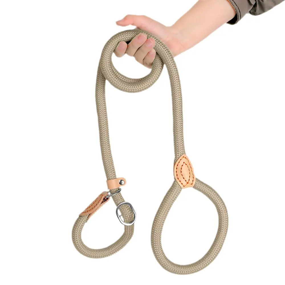 dog-leash-beige-825-1500-1