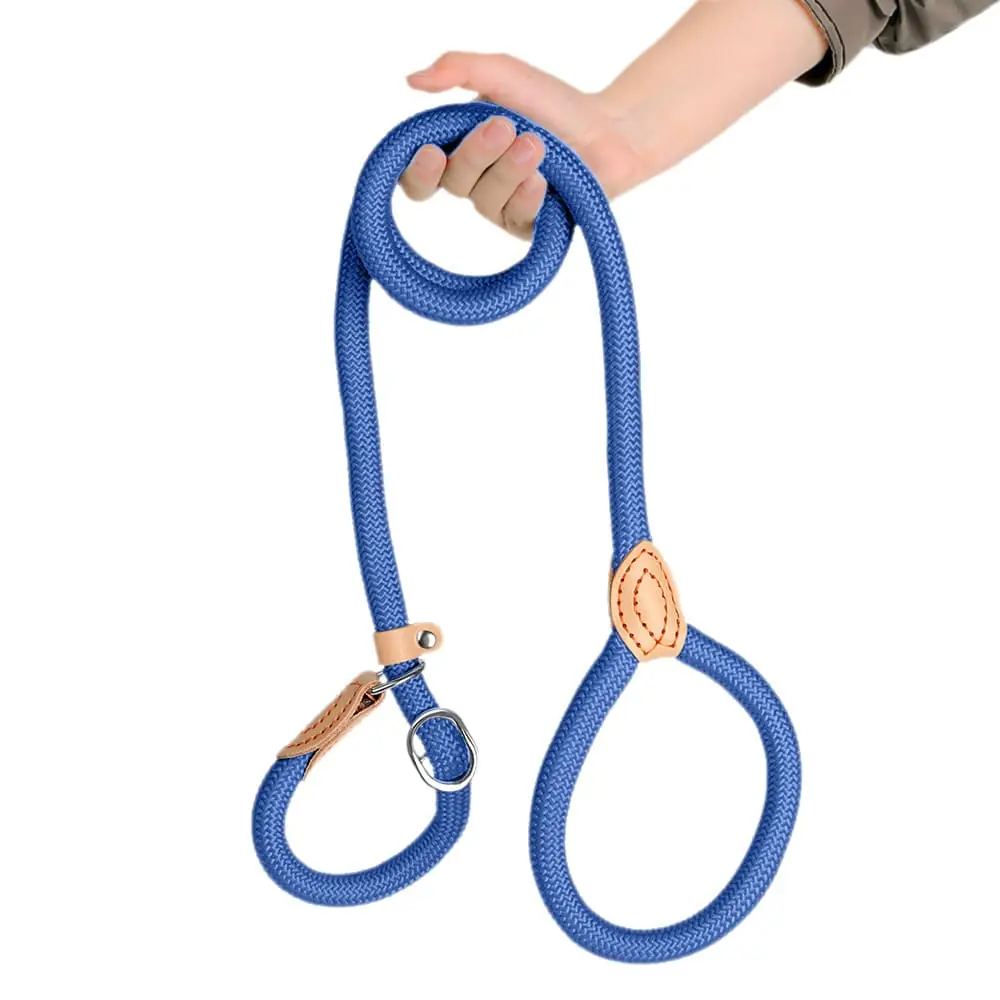 dog-leash-blue-825-1500-1