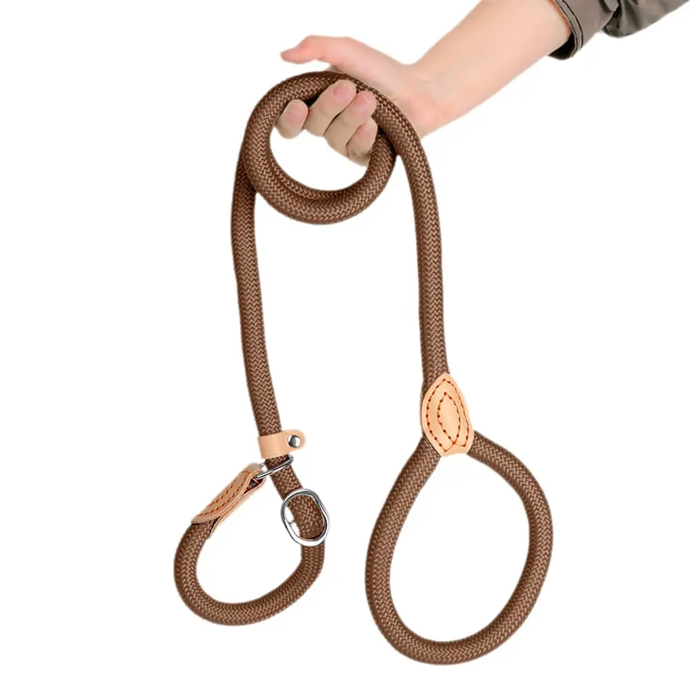 dog-leash-coffee-825-1500-1