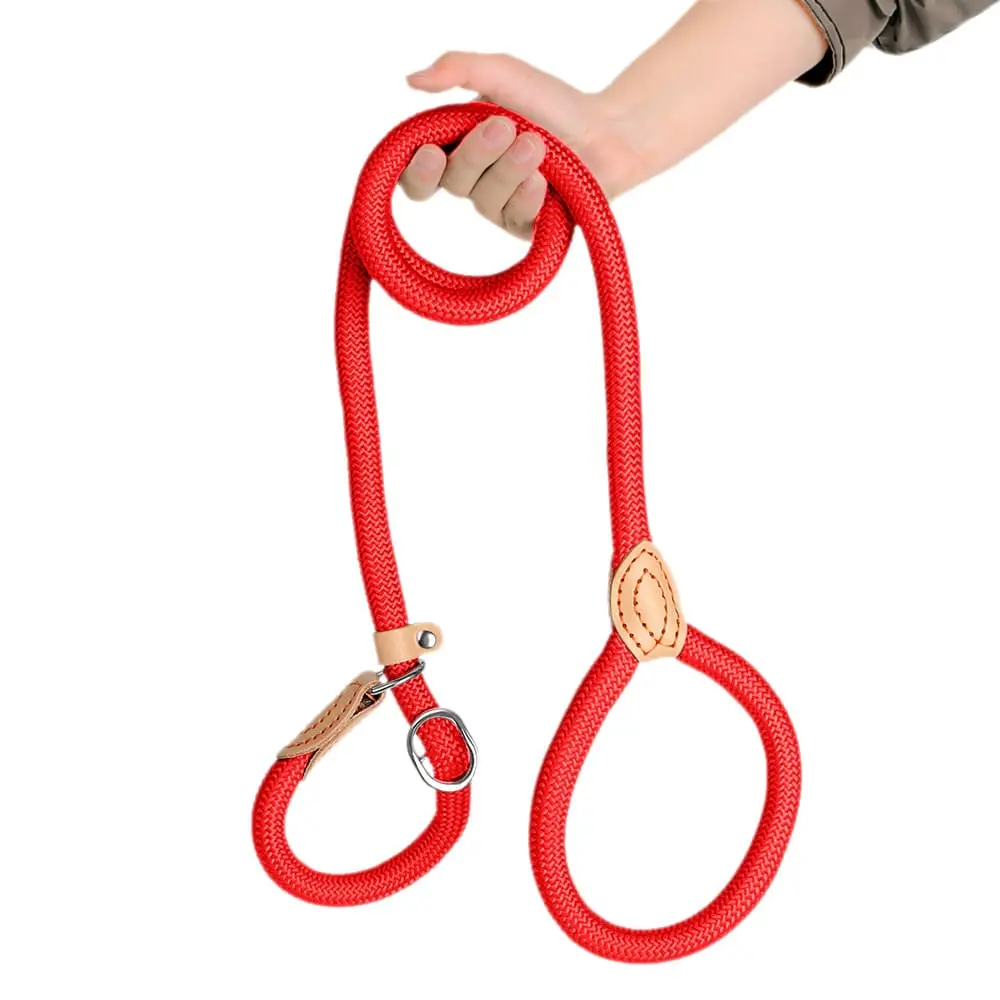 dog-leash-red-825-1500-1