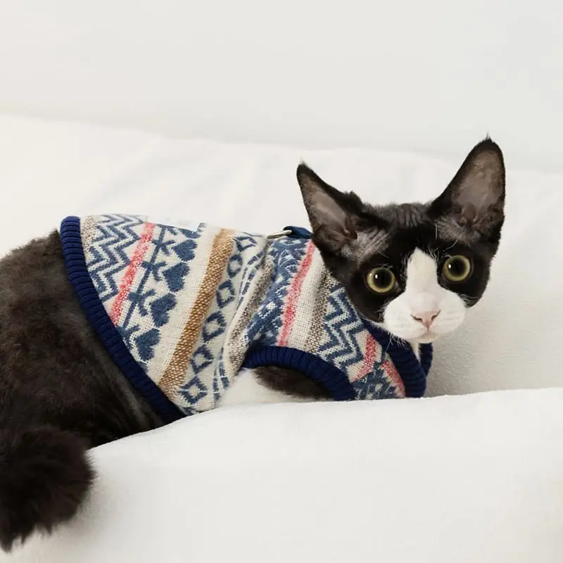 pet-clothes-knitting-825-1110-1