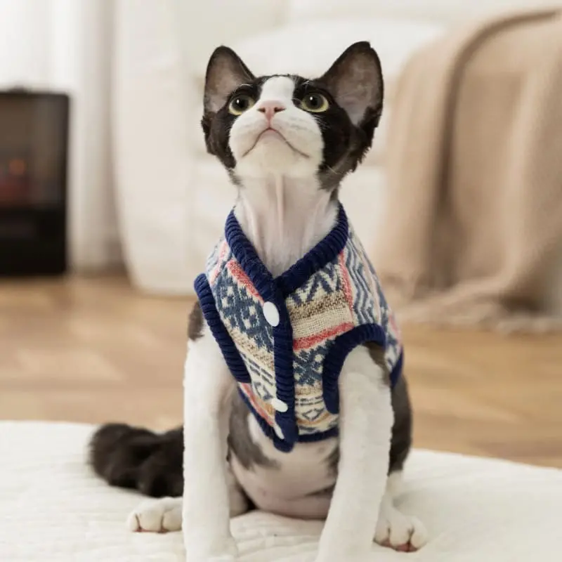 pet-clothes-knitting-825-1110-2