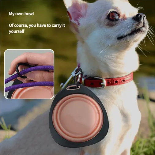 pet-bowl-825-1041-1